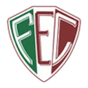 Fluminense PI Logo